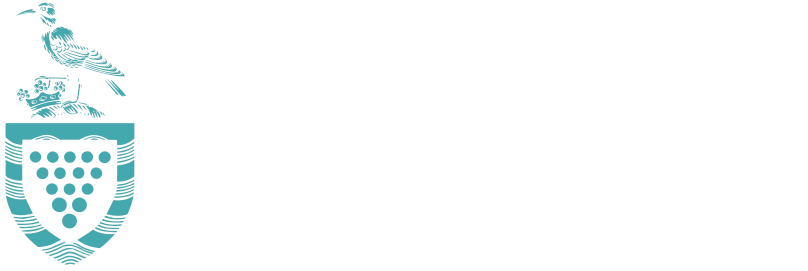Cornwall Council Partnership Logo
