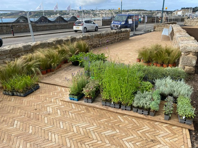 a7777b11 dfed 4613 b083 b98679efdcca - Works at St Anthony Gardens, Penzance, progressing well with opening date to be announced imminently   